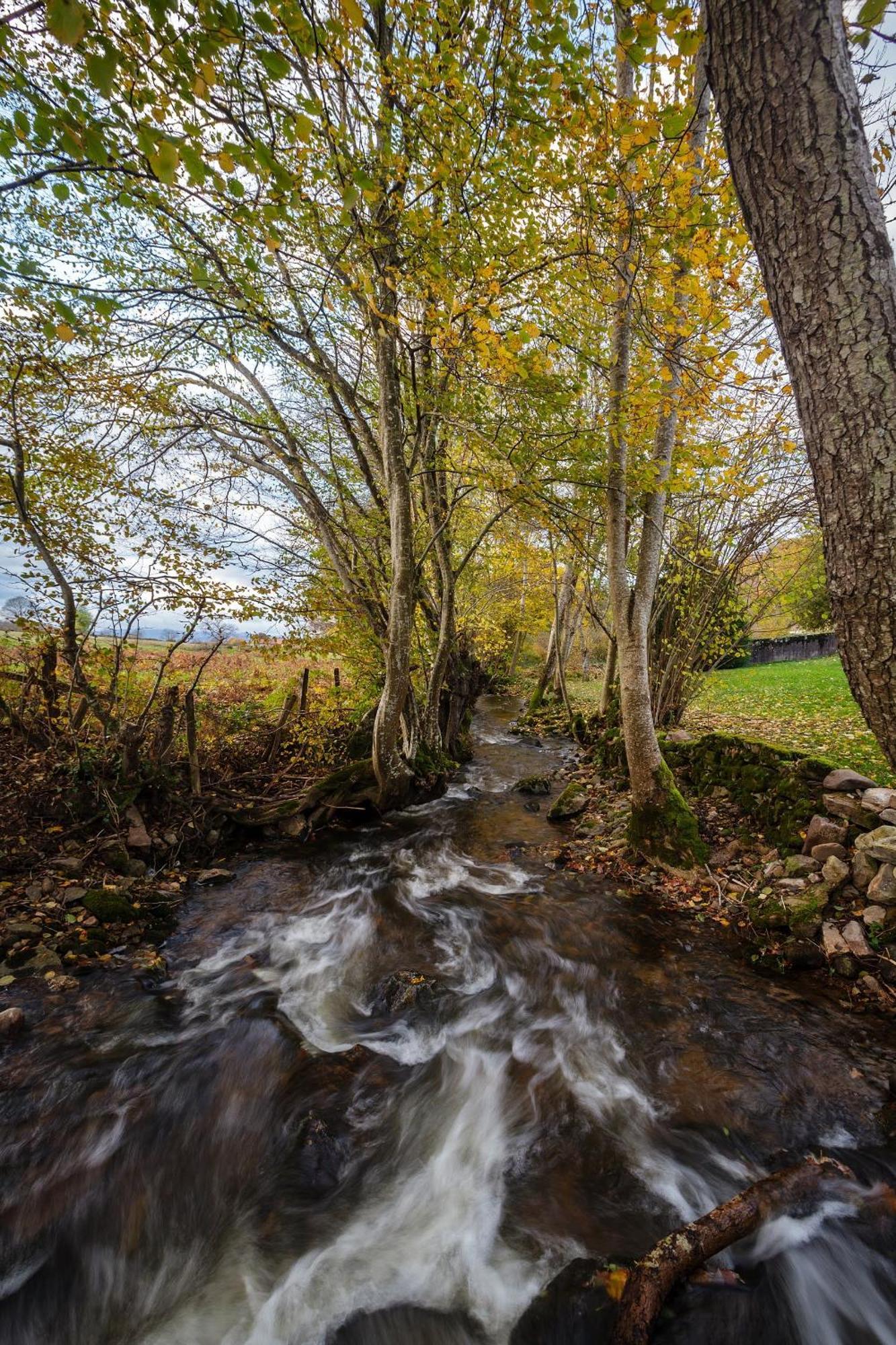 L'Annexe Du Moulin Renaudiots Lejlighed Autun Eksteriør billede