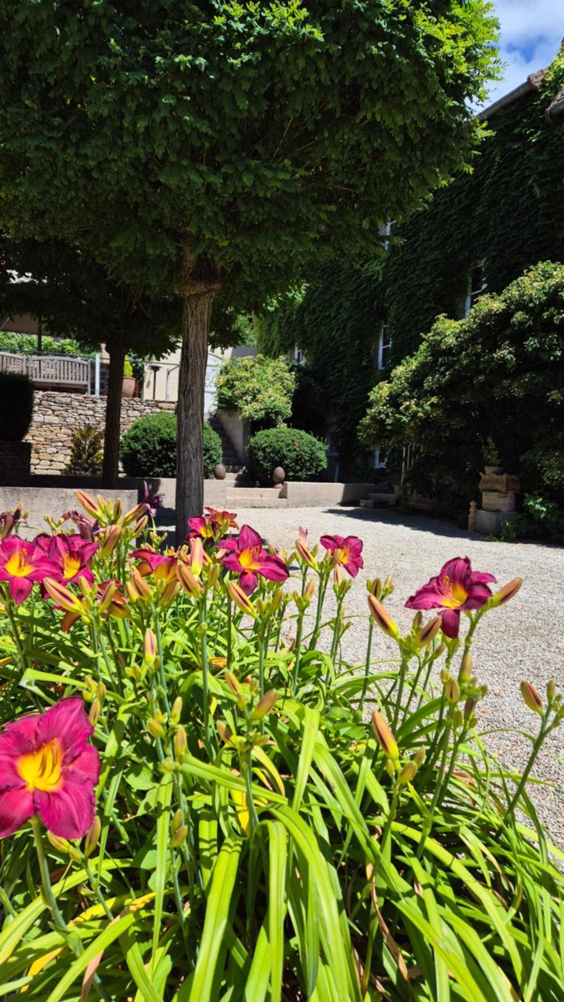 L'Annexe Du Moulin Renaudiots Lejlighed Autun Eksteriør billede